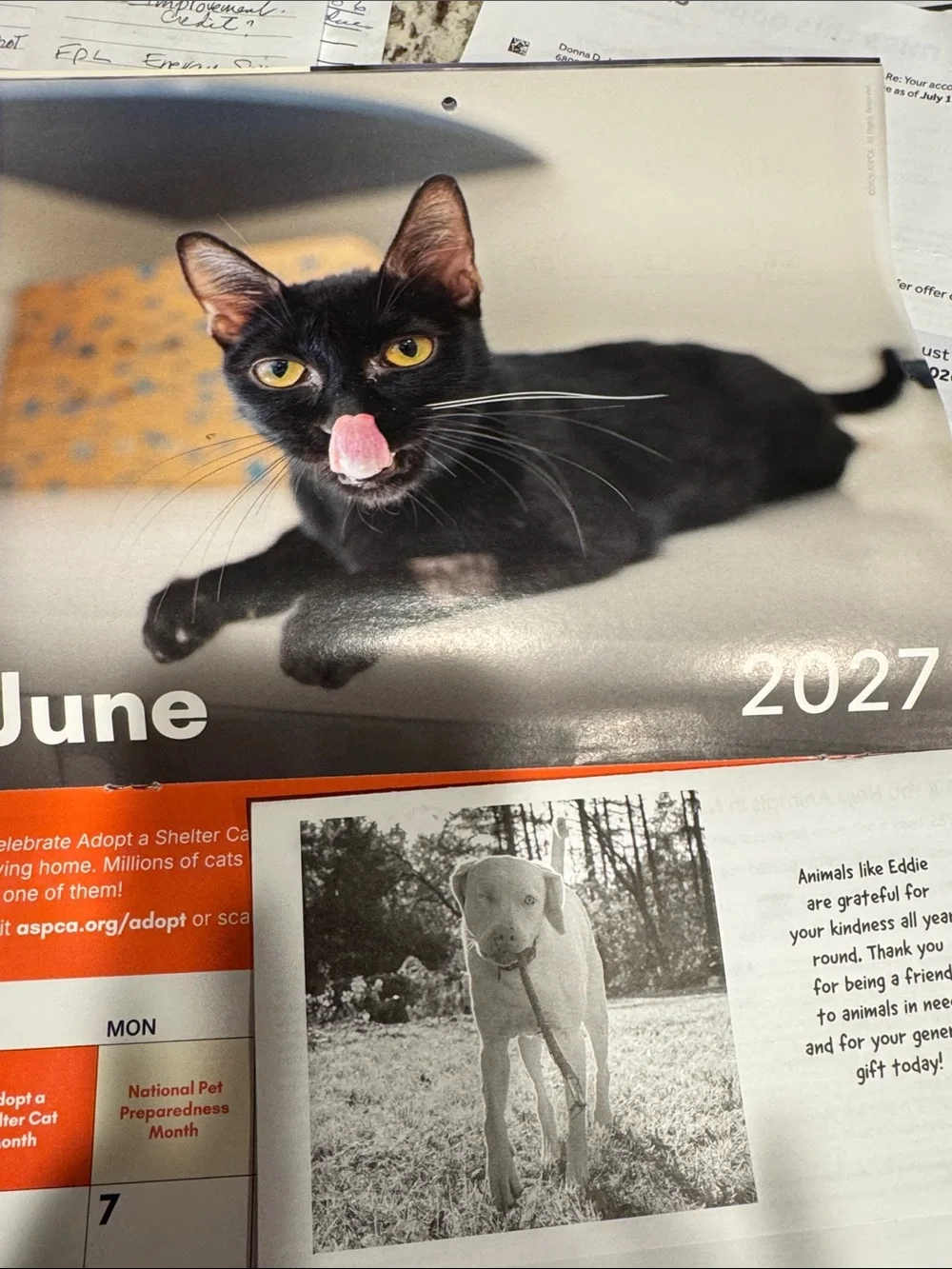 2027 Special Edition Calendar - Cream/Orange